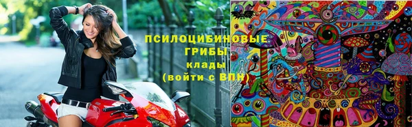 герыч Алексин