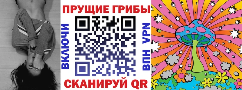 Купить закладки  Верхний Уфалей  Галлюциногенные грибы прущие грибы 